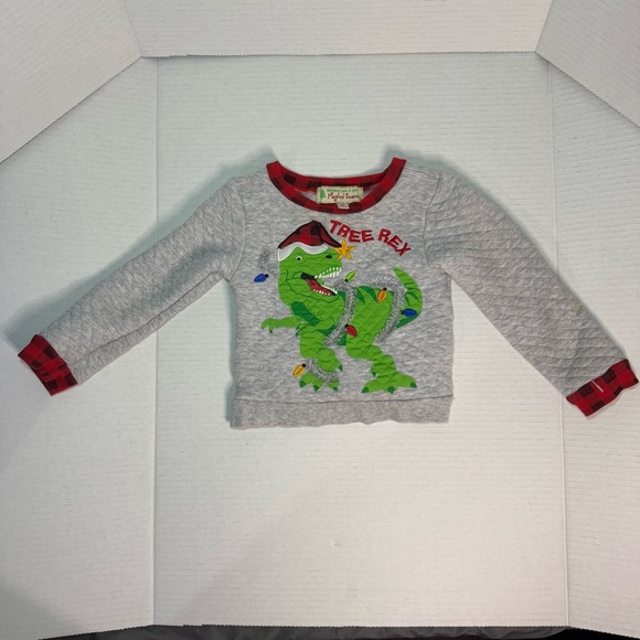 Other - Magical Season Tree‎ Rex Christmas Toddler Sweatshirt 2T Gray Dino Holiday Shirt